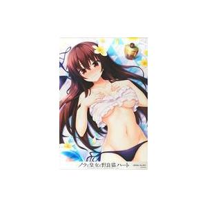 全品送料無料 アニメムック 付属品付 ノラと皇女と野良猫ハート メタライズアート 黒木未知 超特価激安 Nicmosul Org