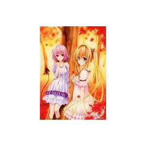 ToLOVEる原画展 アートパネル モモ ヤミ とらぶる 未使用