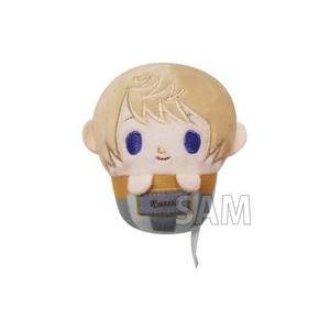 ヘタリア　ロシア　ぬいぐるみ グッズ-ぬいぐるみ】ヘタリア World☆Stars ドールテイラーmini