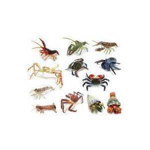 中古トレーディングフィギュア 全12種セット 原色甲殻類エビ カニ図鑑i Vitalitafisio Com Br