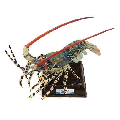 中古トレーディングフィギュア 04 ニシキエビ 「ネイチャー 中古トレーディングフィギュア 04 ニシキエビ 「ネイチャー