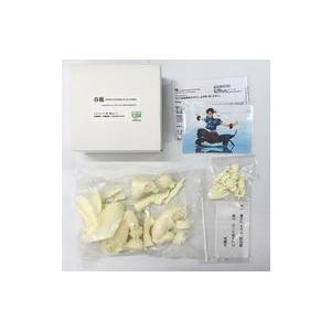 中古フィギュア 春麗 「ストリートファイターIII 3rd STRIKE」 レジン