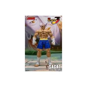 中古フィギュア サガット 「ストリートファイターZERO3」 1/12