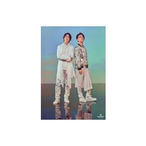 KAME & YAMA-P DOME TOUR 2020 ペンライト 亀と山P 亀と山