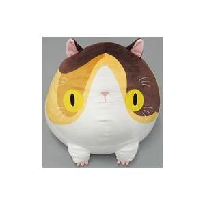 中古ぬいぐるみ すねこすり ぬいぐるみ 仁王 Gamecity Onlineshop限定 駿河屋ヤフー店 通販 Yahoo ショッピング