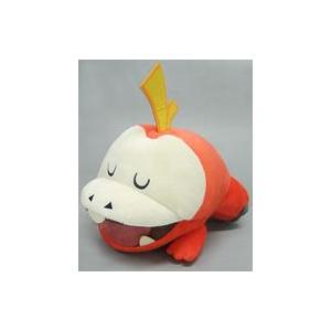 当日・翌日発送】ピカピカボックス ホゲータ 初夢 ぬいぐるみ 2023タグ