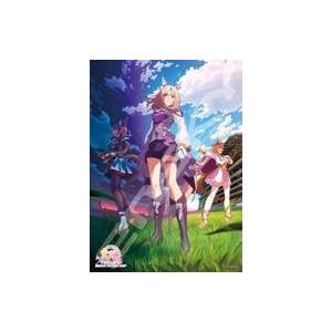 中古パズル アニメ『ウマ娘 プリティダービー ROAD TO THE TOP』 ジグソーパズル 500ピース
