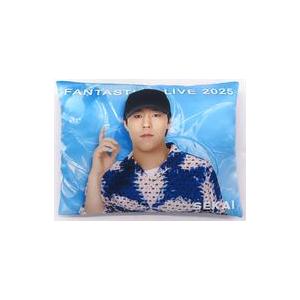FANTASTICS 世界　クッション 中古クッション・本体 世界 クッション 「FANTASTICS LIVE 2025