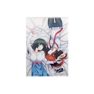中古タペストリー まゆり＆紅莉栖 アニメ描き下ろしイラスト使用B2タペストリー 「Blu-ray/DVD STEINS;GATE 0」