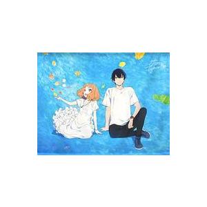 中古タペストリー ジョゼ＆恒夫 B2タペストリー 「アニメ映画 ジョゼと虎と魚たち」 劇場グッズ