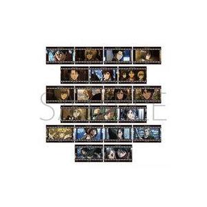 新品キャラカード 【ボックス】進撃の巨人 フィルム風コレクション