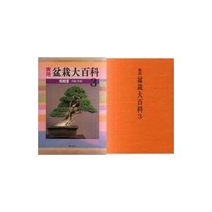 2026年最新】Yahoo!オークション - 真柏(すべて)の中古品・新品・未