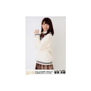 中古生写真(AKB48・SKE48) 菅原茉椰/膝上/「SKE48冬コン2015名古屋再始動。〜珠理奈が帰って来た〜」(ひと足お先にXmas!ユニット祭りver.)ラン｜suruga-ya