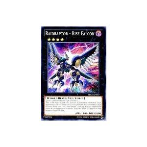 中古遊戯王 SECE-EN050[N]：Raidraptor - Rise Falcon/RR-ライズ・ファルコン｜suruga-ya