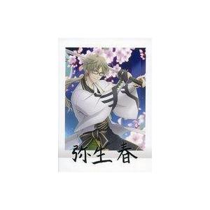 中古アニメ系トレカ 16：弥生春｜suruga-ya