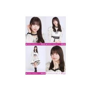 中古生写真(坂道シリーズ) ◇菅原咲月/「乃木坂46 2024.April-III
