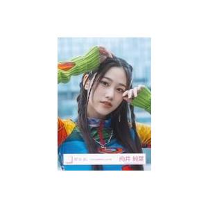 中古生写真(坂道シリーズ) 向井純葉/バストアップ/櫻坂46ランダム生