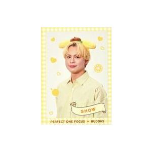 中古コレクションカード(男性) BUDDiiS/SHOW(西田祥)/「パーフェクトワンフォーカス」BUDDiiSコラボキャンペーン Qoo10対象商品購入特典