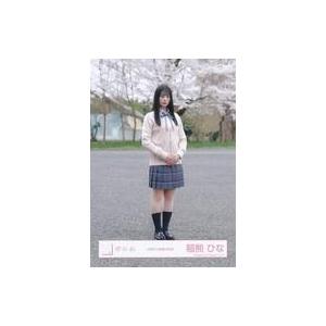 中古生写真(乃木坂46) 櫻坂46/稲熊ひな/全身/櫻坂46ランダム生