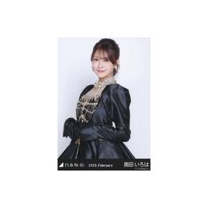 中古生写真(坂道シリーズ) 乃木坂46/奥田いろは/上半身・スペシャル