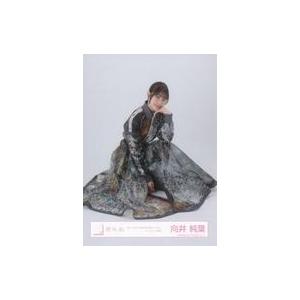 中古生写真(坂道シリーズ) 櫻坂46/向井純葉/座り/櫻坂46ランダム生写真