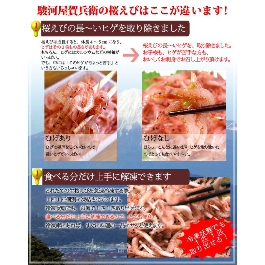 お歳暮ギフト　送料無料《今だけ増量！駿河湾産 生桜えび・生しらす》お取り寄せ グルメ 母の日 ギフト 贈り物 お中元 誕生日 内祝い お礼【包装・カード無料】 |  | 03