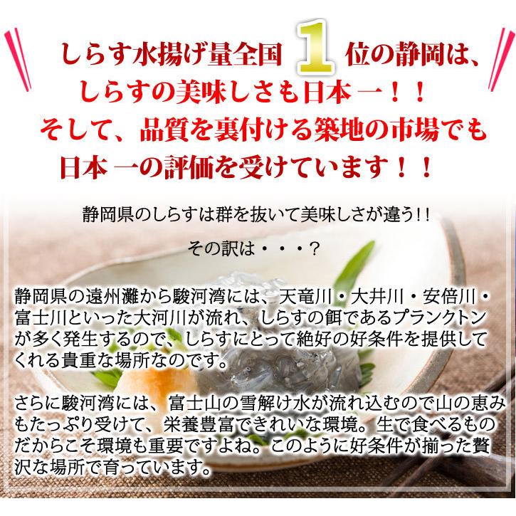 お歳暮ギフト　送料無料《今だけ増量！駿河湾産 生桜えび・生しらす》お取り寄せ グルメ 母の日 ギフト 贈り物 お中元 誕生日 内祝い お礼【包装・カード無料】 |  | 06