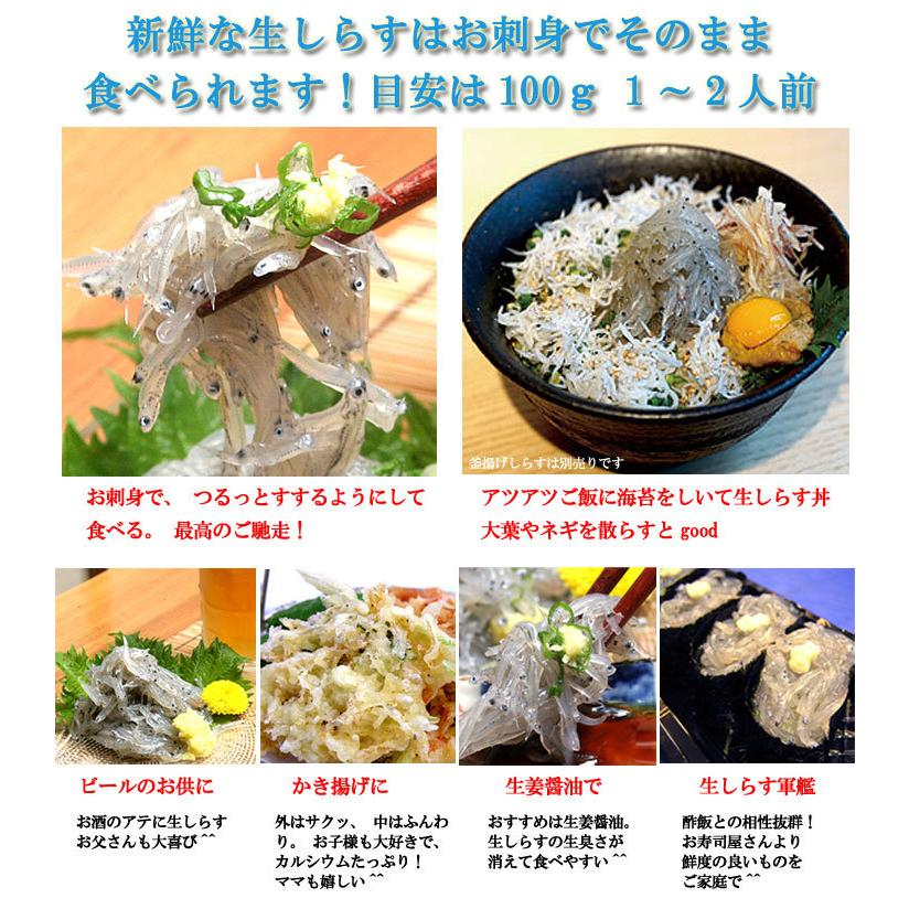 お歳暮ギフト　送料無料《今だけ増量！駿河湾産 生桜えび・生しらす》お取り寄せ グルメ 母の日 ギフト 贈り物 お中元 誕生日 内祝い お礼【包装・カード無料】 |  | 07