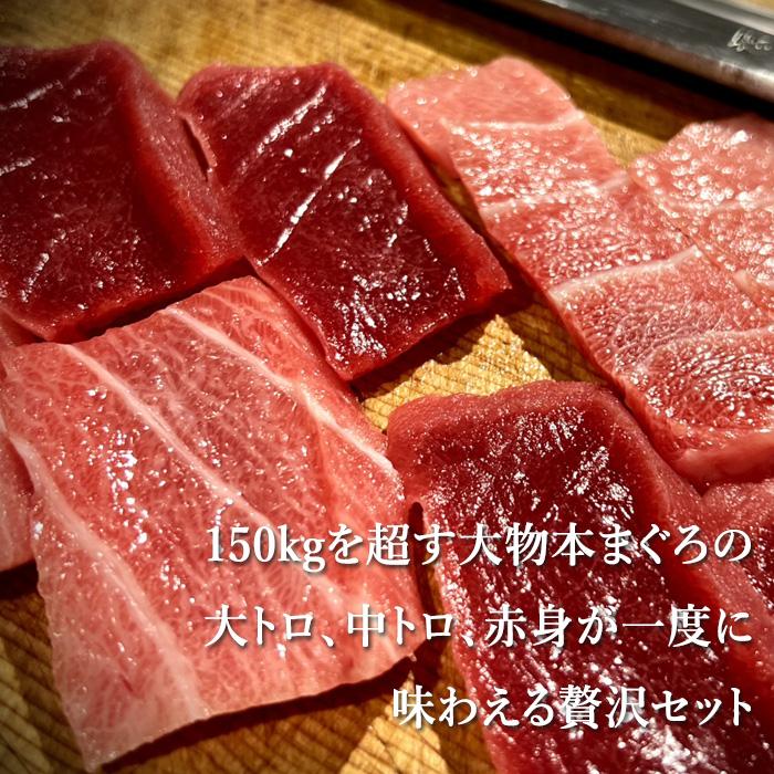 送料無料 お歳暮 冬ギフト《本まぐろ尽くし》本まぐろ赤身 中トロ 大トロ 贅沢グルメ 贈り物 お祝い お礼【無料ギフト包装・のし】 |  | 01