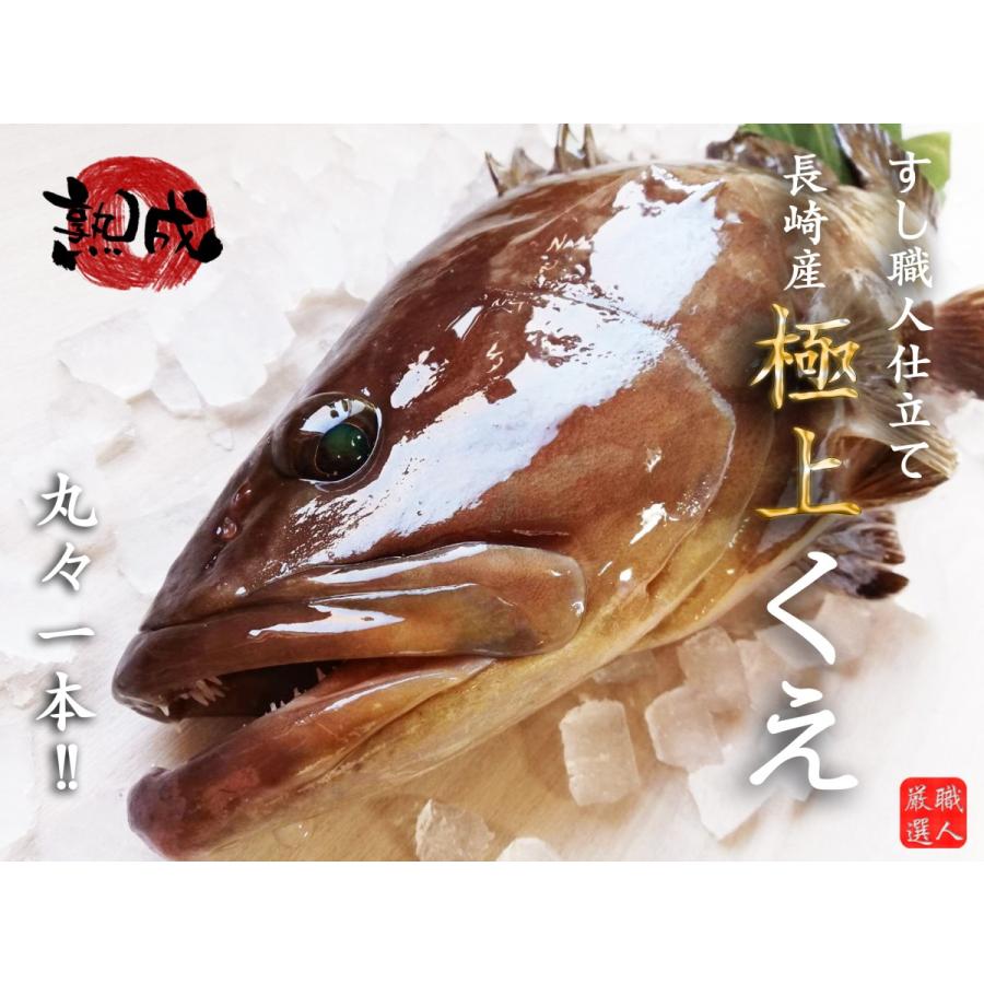 熟成 長崎県産天然クエ 5kg前後 送料無料 S007 すし職人の活魚 通販 Yahoo ショッピング