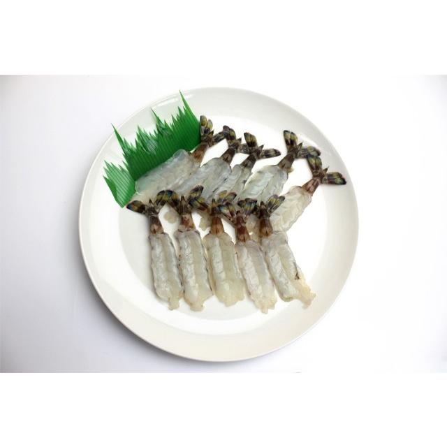 手数料無料 寿司ネタ 活〆生車エビ開き3l 10 11ｃｍ 10尾 すしねた くるまえび クルマエビ 車海老 刺身用 生食用