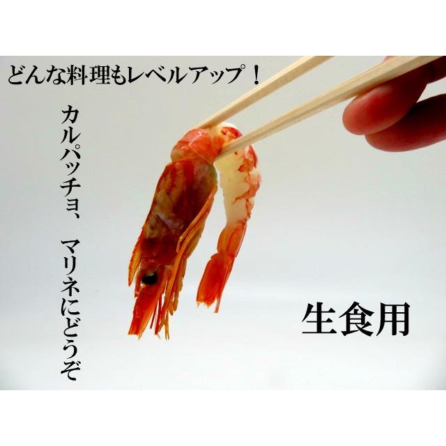 寿司 寿司ネタ 有頭赤海老中むき (約１8ｃｍ) 10尾 のせるだけ 生食用 あかえび アカエビ 刺身用 海鮮丼 大ネタ マリネ カルパッチョ｜sushics｜04