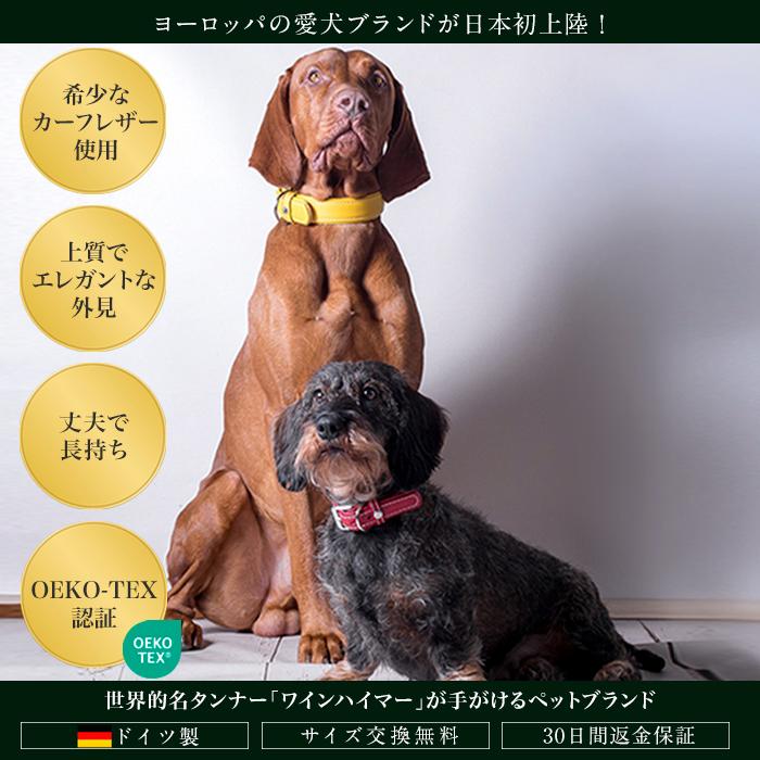 水洗い可能！ドイツ製 高級本革首輪】 Das Lederband レダーバンド