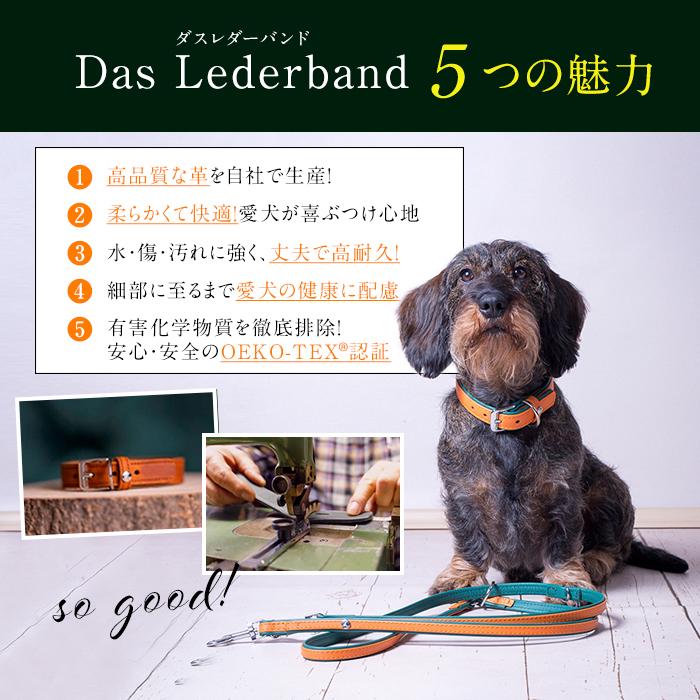 水洗い可能！ドイツ製 高級本革首輪】 Das Lederband レダーバンド