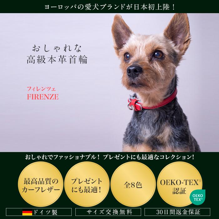ドイツ製 高級本革首輪 Das Lederband レダーバンド 「Firenze
