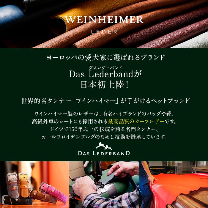 ドイツ製 高級本革首輪 Das Lederband レダーバンド 「Firenze（フィレンツェ）」 XS(幅12mm/長さ30cm)首周り21-25cm 全8色 犬 首輪_2