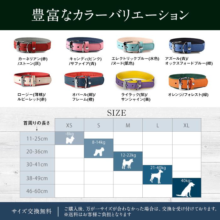 ドイツ製 高級本革首輪 Das Lederband レダーバンド 「Firenze（フィレンツェ）」 XS(幅12mm/長さ30cm)首周り21-25cm 全8色 犬 首輪_6