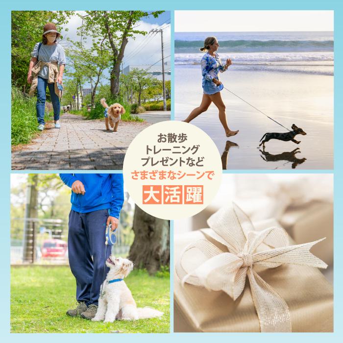 フレキシ 伸縮リード セレクト テープ (25kg以内) 7m 可変式 長さ調整可能 ドイツ製 犬用リード | flexi | 13