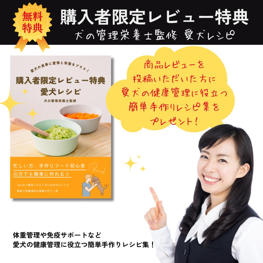 フレキシ 伸縮リード セレクト テープ (25kg以内) 7m 可変式 長さ調整可能 ドイツ製 犬用リード | flexi | 15