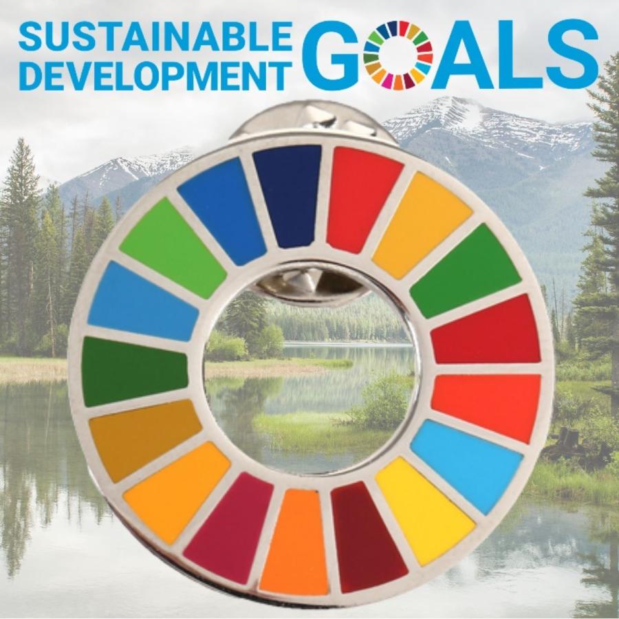 SDGs バッジ 本物 17の目標 ピンバッジ 正規品 国連開発計画ショップ限定 平型タイプ 予備の留め具付き｜sustaina1