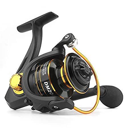 限定価格セール スピニングフィッシングリール 10bb 釣り初心者向け 軽量 ギア比5 0 1 スピニングリール 超スムーズパワフル スピニングリール Pathwaysfl Org