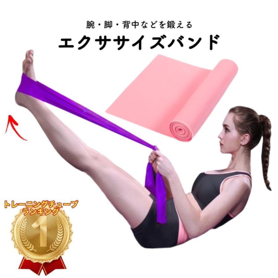 トレーニングチューブ エクササイズバンド 筋トレ チューブ 最強
