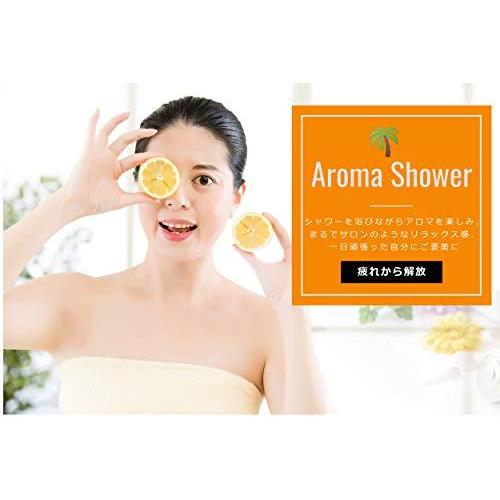 パーティを彩るご馳走や 節水 塩素除去マイクロナノバブルシャワーヘッド 美容 高水圧 マイクロナノバブル シャワーヘッド 極小気泡 マイクロ 高級なマットな材質 アロマ 美髪 ヘッドホン Www Oroagri Eu