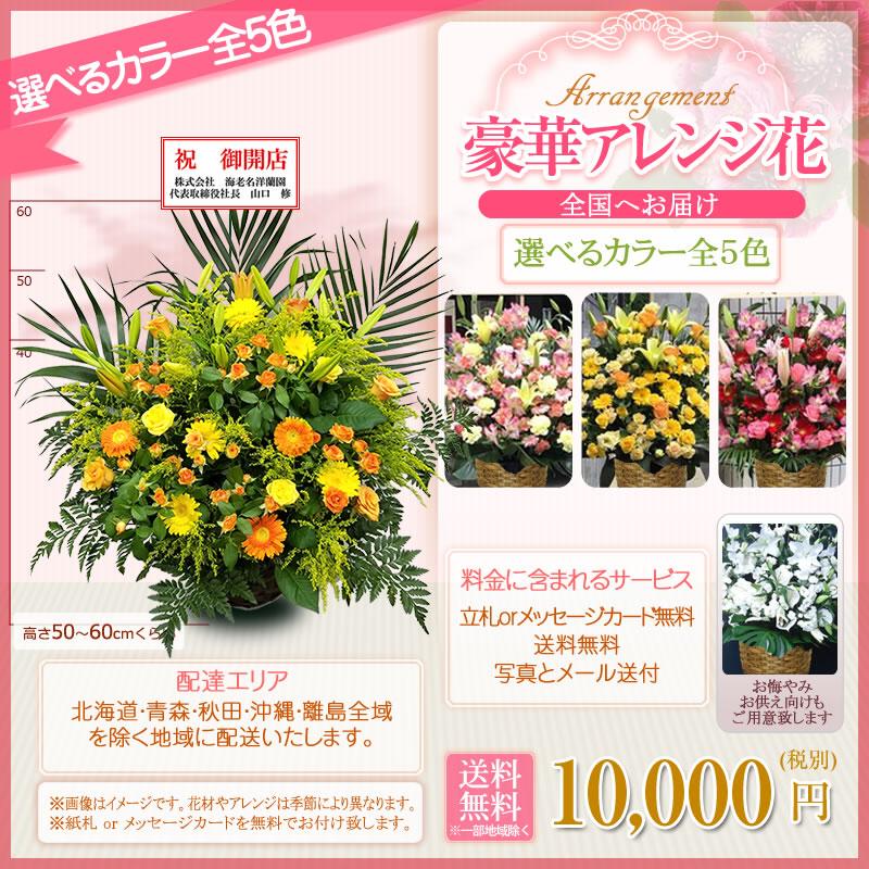 フラワーアレンジメント アレンジ花(L) 10000円(税別) 60cm位 お祝い