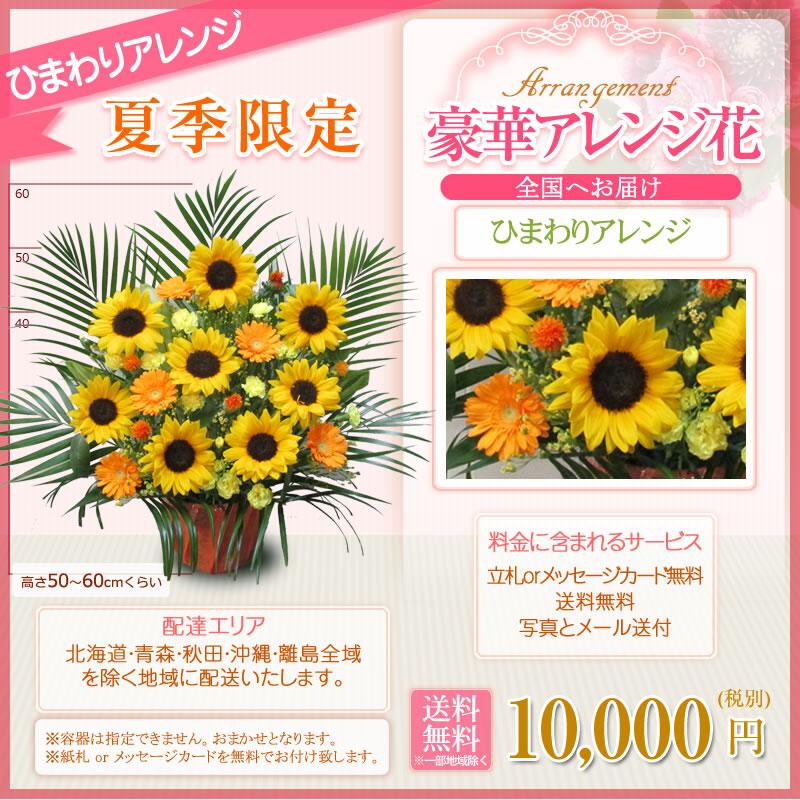 フラワーアレンジメント アレンジ花(L) 10000円(税別) 60cm位 お祝い