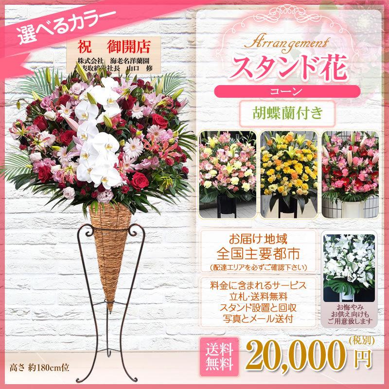 胡蝶蘭付きスタンド花(コーン) 花色選べる5色 20000円(税別) 180cm位