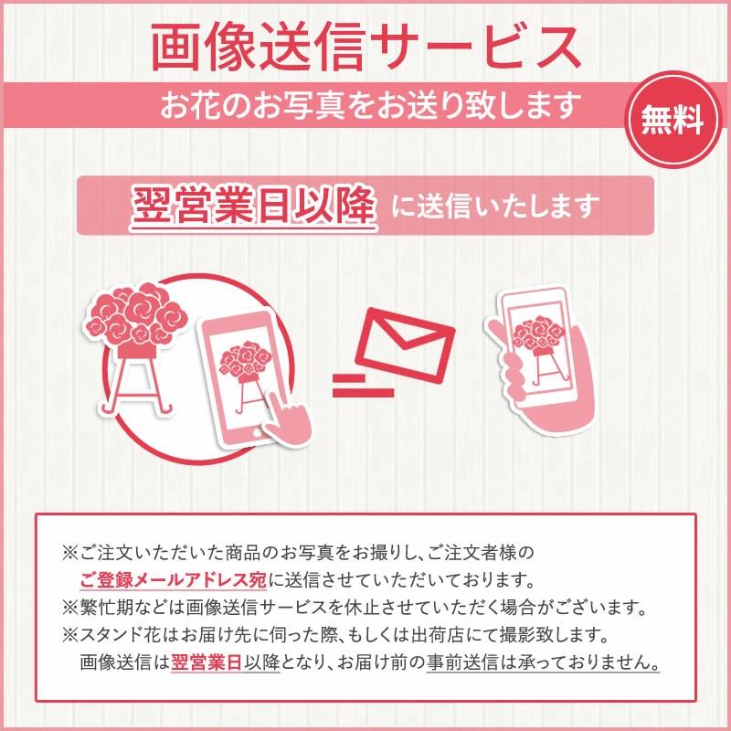 胡蝶蘭付きスタンド花(コーン) 花色選べる5色 20000円(税別) 180cm位 設置＆回収無料 東京都 神奈川県 大阪府 お祝い 開店 開業 開院 花【stde】｜sutandobana｜20