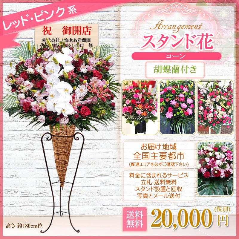 胡蝶蘭付きスタンド花(コーン) 花色選べる5色 20000円(税別) 180cm位