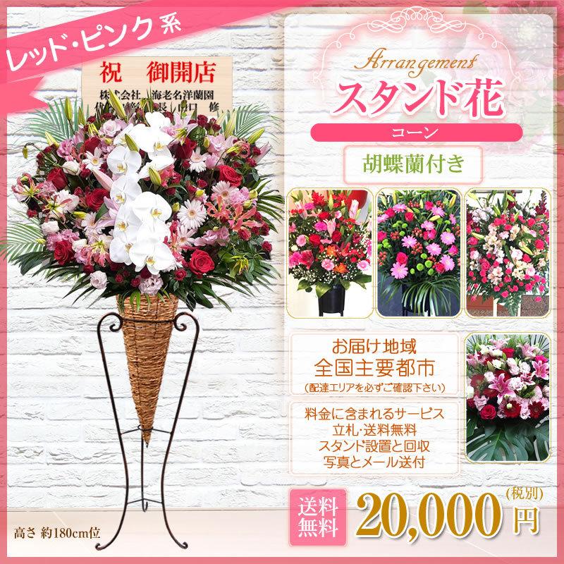 胡蝶蘭付きスタンド花(コーン) 花色選べる5色 20000円(税別) 180cm位 設置＆回収無料 東京都 神奈川県 大阪府 お祝い 開店 開業 開院 花【stde】｜sutandobana｜10