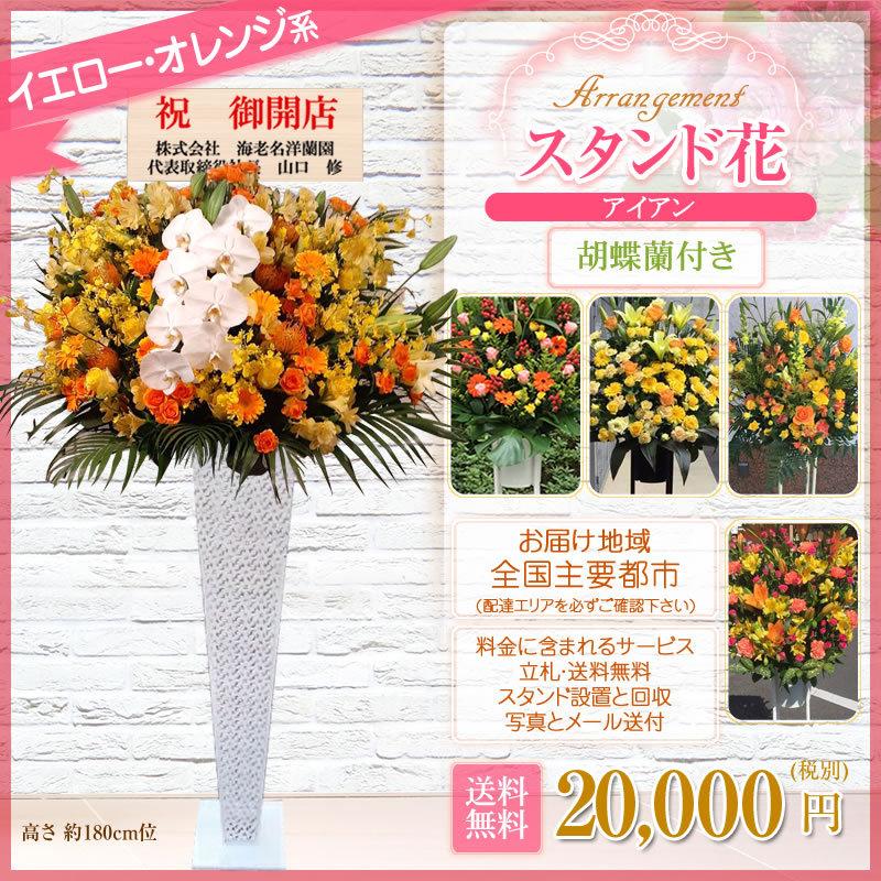 胡蝶蘭付きスタンド花(アイアン) 花色選べる5色 20000円(税別) 180cm位